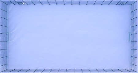 Decorative hornbeam on the lawn. Against the background of blue sky. Element of landscape design.の写真素材