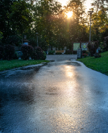 Rain in the summer park. Raindrops fall on the paved path.の写真素材