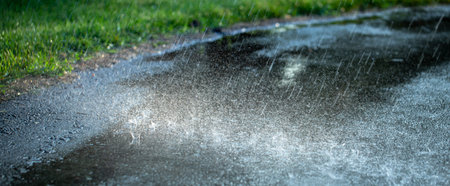 Rain in the summer park. Raindrops fall on the paved path.