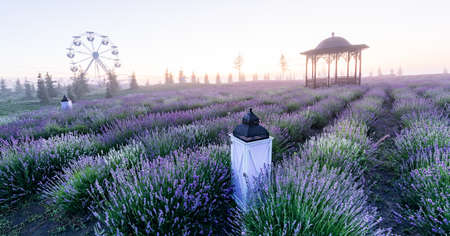 Beautiful summer plot. Wonderful lavender field at dawn. Decorative lamps and a wrought-iron gazebo adorn the magical summer morning landscape.の写真素材