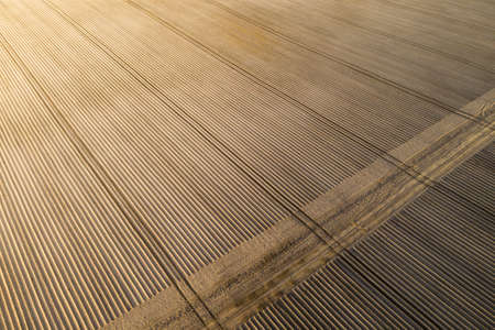 Aerial view of high quality soil in the field. Ready to grow crops. Field with potatoes, roots.の写真素材