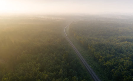 A freight train loaded with resources delivers cargo through the forest. Wonderful summer landscape....