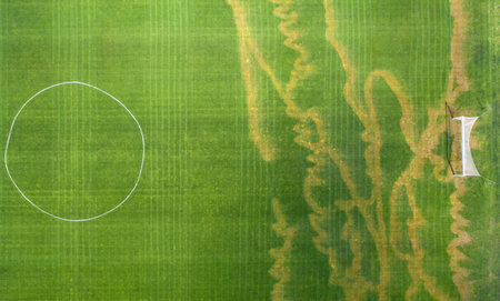Damaged lawn grass on the football field.の写真素材