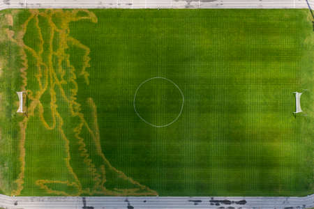 Damaged lawn grass on the football field.の写真素材