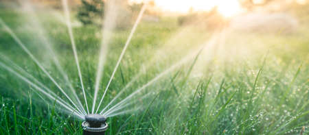 The nozzle of the automatic watering system waters a green lawn.の写真素材