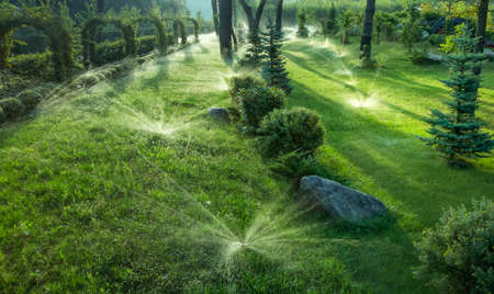 The rotary nozzle of the automatic watering system waters the juicy young green lawn grass. Selective focus.の写真素材