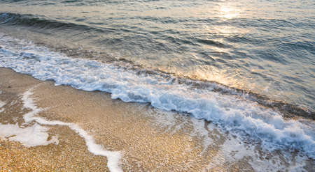 Empty tropical wild beach, light sand and blue clear water. Aerial view.の写真素材