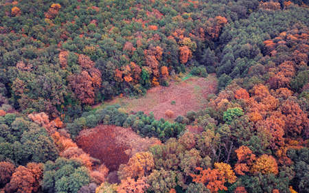 Green and yellow leaves of trees. Autumn forest top view. Natural background or texture.の写真素材
