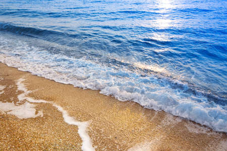 Empty tropical wild beach, light sand and blue clear water. Aerial view.の写真素材