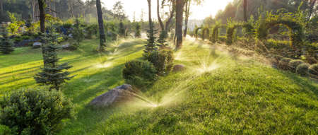 The nozzle of the automatic watering system waters a green lawn.の写真素材