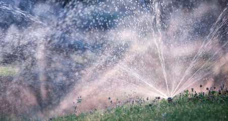 The nozzle of the automatic watering system waters a green lawn.の写真素材