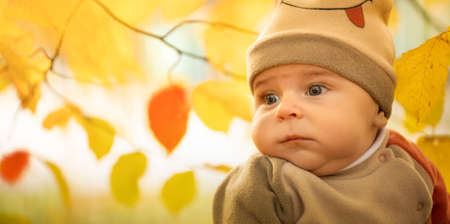 Little newborn boy, close up on a background of autumn leavesの写真素材