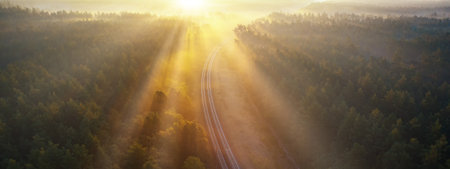 Railway in the summer morning forest at dawn. Wonderful summer landscape shot from a drone. The sun's rays shine through the fog and the branches of green pines.の写真素材