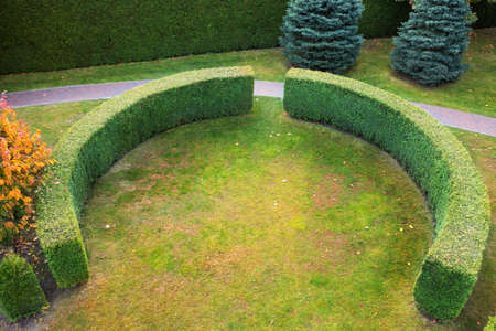 Thuja, boxwood and ornamental plants near the path in the park.の写真素材