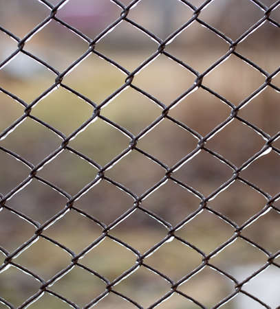 Metal old rusty mesh covered with ice.の写真素材