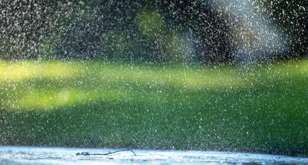 Raindrops fall on the asphalt and green grass.の写真素材