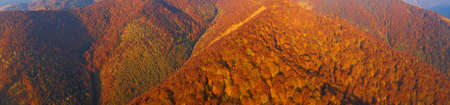 Alpine autumn deciduous forest above clouds Drone view.の写真素材