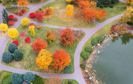 Autumn landscape park with a great variety of plants. drone view. Mezhyhirya National Nature Park.の写真素材
