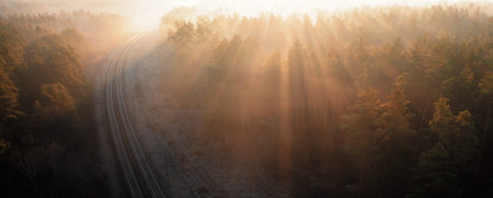 The railway runs through the forest. Empty tracks at sunset or dawn.の写真素材