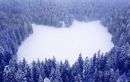 Lake Synevir in winter. The frozen lake is covered with snow. Wonderful winter landscape. drone view.の写真素材