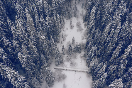 Snow-capped mountain peaks and coniferous forest. Wonderful winter forest in the mountains. mountain...