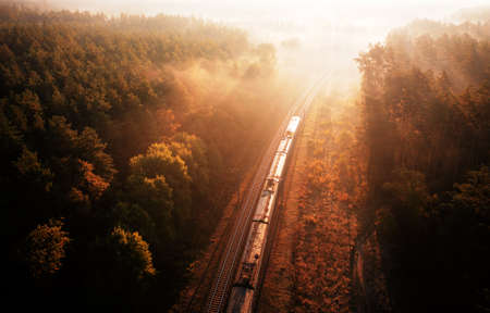 A freight train loaded with resources delivers cargo through the forest. Wonderful summer landscape. Blurred pine trees at dawn from spoiling rail.の写真素材