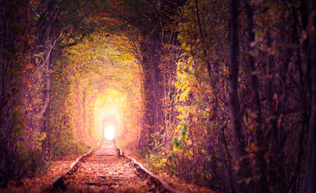 Railway in the woods. Tunnel of trees over the railway. Favorite place for walks of couples in love. autumn landscape.の写真素材
