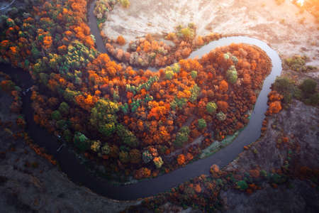 bright landscape. Winding river, floodplain, dry grass and autumn forest at dawn. environmentally friendly area.の写真素材