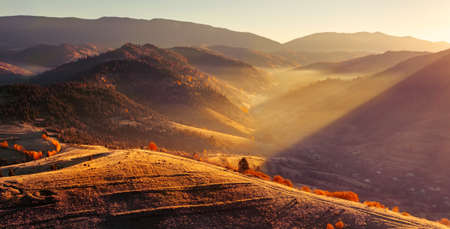 Wonderful autumn landscape. The rays of the sun in a brightly colored blurred autumn forest. Natural background.の写真素材