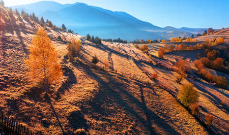 Wonderful autumn landscape. The rays of the sun in a brightly colored blurred autumn forest. Natural background.の写真素材