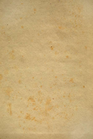 Paper texture from an old book. Yellow sheet of natural background.の写真素材