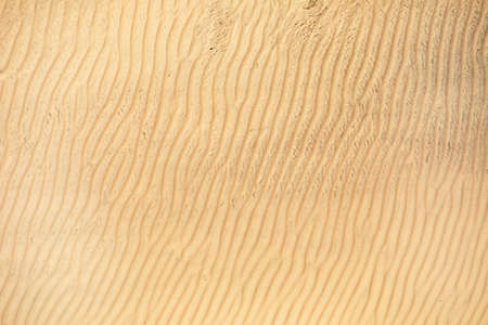 Pure yellow sand in the desert. Abstract background or texture.の写真素材