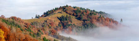 Alpine autumn deciduous forest above clouds Drone view.の写真素材
