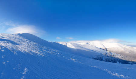 Snow-capped mountain peaks and coniferous forest. Wonderful winter forest in the mountains. mountain landscape.の写真素材