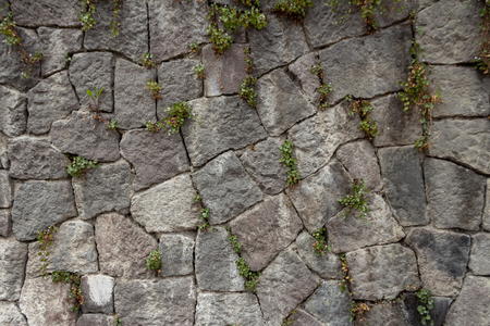 wall brick textureの写真素材