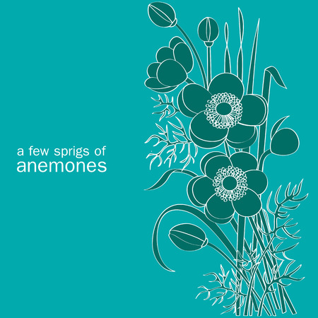 a few sprigs of anemones on turquoise backgroundのイラスト素材