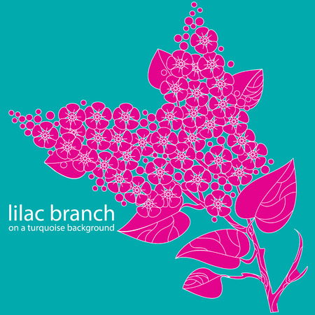 lilac branch on a turquoise backgroundのイラスト素材