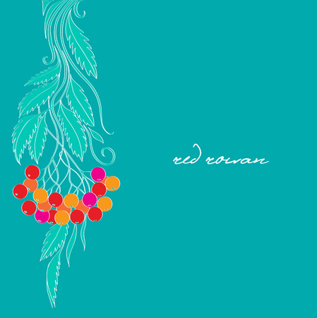 red rowan on the emerald backgroundのイラスト素材