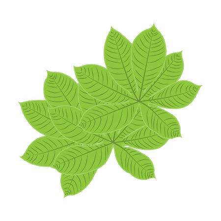 Leaf Logo Green Plant Design Leaves Of Trees Product Brand Template Illustrationのイラスト素材