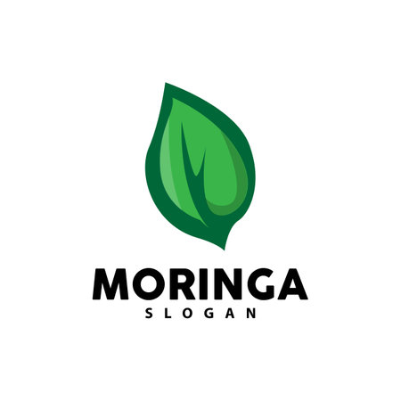 Leaf Logo, Eco Green Plant Vector, Green Earth Care Recycling Design, Moringa Leaf Logo Icon Template Illustrationのイラスト素材