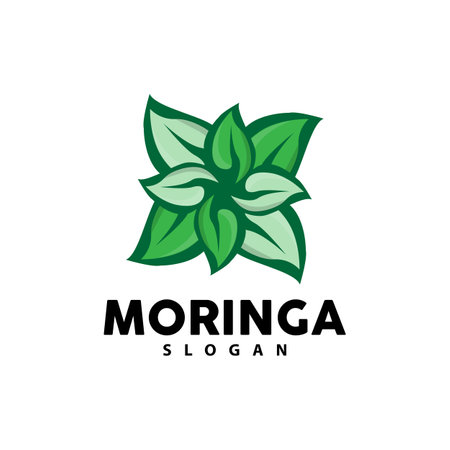 Leaf Logo, Eco Green Plant Vector, Green Earth Care Recycling Design, Moringa Leaf Logo Icon Template Illustrationのイラスト素材