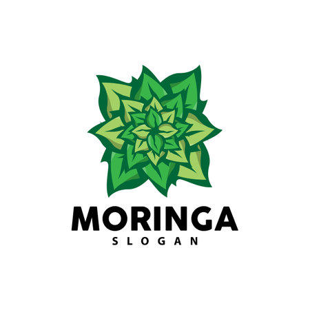 Leaf Logo, Eco Green Plant Vector, Green Earth Care Recycling Design, Moringa Leaf Logo Icon Template Illustrationのイラスト素材