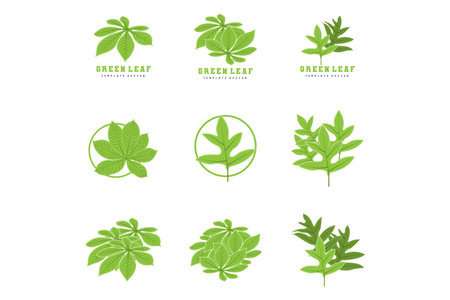 Leaf Lines logo design, Background Icons Artwork Artwork Colors pAstelのイラスト素材
