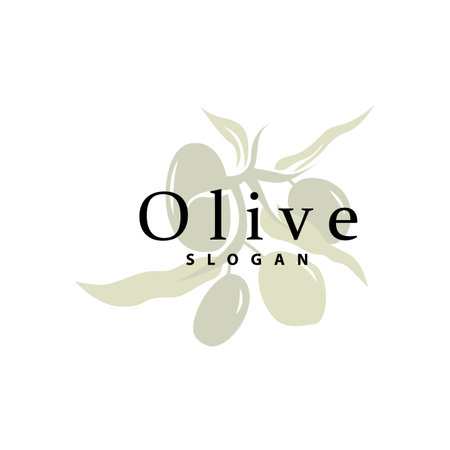 Olive Oil Logo, Olive Leaf Plant Herbal Garden Vector, Simple Elegant Luxurious Icon Design Template illustrationのイラスト素材