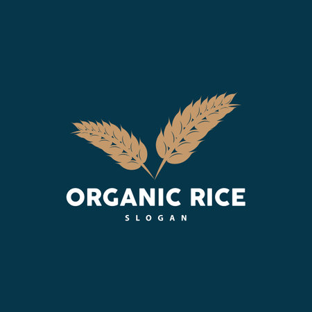 Wheat Rice Logo, Agricultural Organic Plant Vector, Golden Bread Material Luxury Design, Retro Vintage Theme Designのイラスト素材