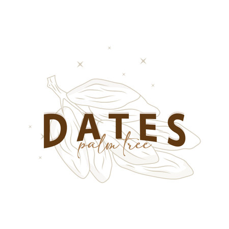 Date Fruit Logo, Elegant Minimalist Premium Design, Sweet Date Fruit Logo Templet Illustrationのイラスト素材