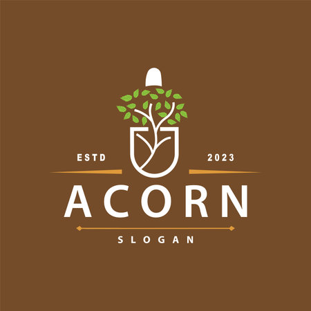 Acorn Logo, Nut Design With Oak Leaves Simple, Templet Illustration Vectorのイラスト素材
