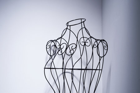 Stylish wire tailor's mannequin with shadowの写真素材