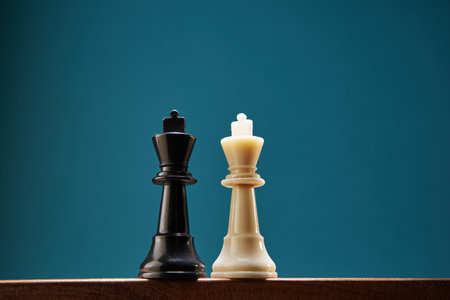 opposition of King chess piece black and white with copy spaceの写真素材