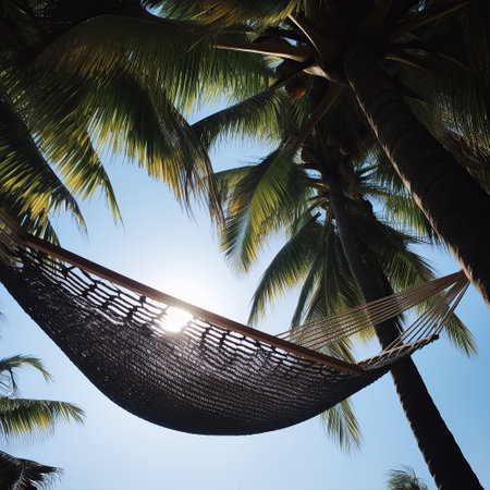 Hammock on a tropical beachの素材